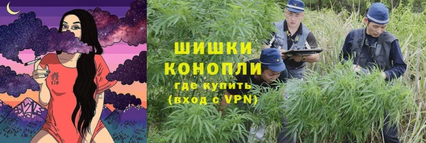 МДПВ Богданович