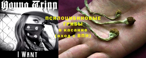 МДПВ Богданович